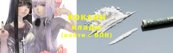 мдпв Краснотурьинск