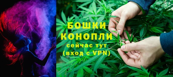мдпв Краснотурьинск