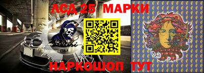 дмт Камышлов