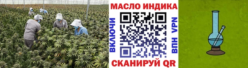 купить Светлоград ТГК Wax