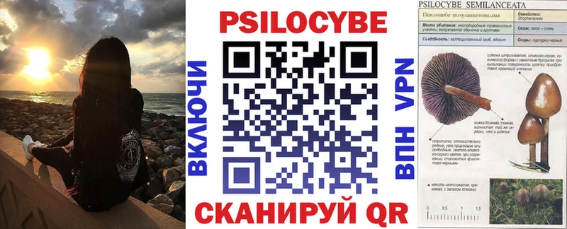 Псилоцибиновые грибы Psilocybe  Светлоград 