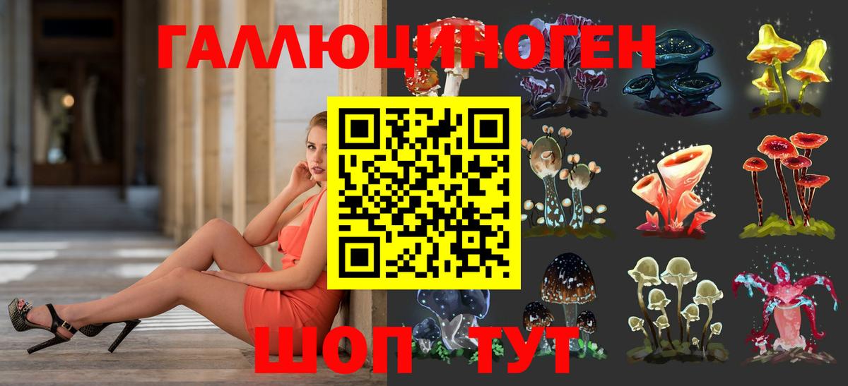 Галлюциногенные грибы мицелий  Галлюциногенные грибы Psilocybe  Вход с VPN  цены наркотик  Светлоград 